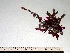  ( - GWS002433)  @11 [ ] CreativeCommons - Attribution Non-Commercial Share-Alike (2010) Unspecified University of New Brunswick