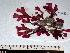  ( - GWS002451)  @11 [ ] CreativeCommons - Attribution Non-Commercial Share-Alike (2010) Unspecified University of New Brunswick