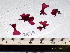  ( - GWS002479)  @11 [ ] CreativeCommons - Attribution Non-Commercial Share-Alike (2010) Unspecified University of New Brunswick