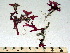  ( - GWS002542)  @11 [ ] CreativeCommons - Attribution Non-Commercial Share-Alike (2010) Unspecified University of New Brunswick