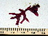  ( - GWS002558)  @11 [ ] CreativeCommons - Attribution Non-Commercial Share-Alike (2010) Unspecified University of New Brunswick