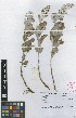  ( - TM058)  @11 [ ] No Rights Reserved  Unspecified Unspecified