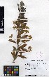  ( - TM097)  @11 [ ] No Rights Reserved  Unspecified Unspecified