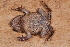  ( - AF5962)  @11 [ ] Unspecified (default): All Rights Reserved  Unspecified Unspecified