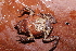  ( - AF5971)  @11 [ ] Unspecified (default): All Rights Reserved  Unspecified Unspecified