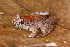  ( - AF5972)  @11 [ ] Unspecified (default): All Rights Reserved  Unspecified Unspecified