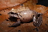  ( - AF6006)  @11 [ ] Unspecified (default): All Rights Reserved  Unspecified Unspecified