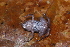  ( - AF6052)  @11 [ ] Unspecified (default): All Rights Reserved  Unspecified Unspecified
