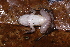  ( - AF6053)  @11 [ ] Unspecified (default): All Rights Reserved  Unspecified Unspecified
