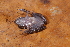  ( - AF6098)  @11 [ ] Unspecified (default): All Rights Reserved  Unspecified Unspecified