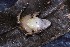  ( - AF6134)  @11 [ ] Unspecified (default): All Rights Reserved  Unspecified Unspecified