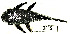  ( - FMNH153253.1)  @11 [ ] Unspecified (default): All Rights Reserved  Unspecified Unspecified