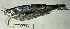  ( - FMNH153231.1)  @11 [ ] Unspecified (default): All Rights Reserved  Unspecified Unspecified