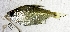  ( - FMNH153229.3)  @11 [ ] Unspecified (default): All Rights Reserved  Unspecified Unspecified