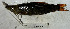  (Petulanos - FMNH153237.2)  @11 [ ] Unspecified (default): All Rights Reserved  Unspecified Unspecified
