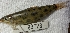  ( - FMNH153235.3)  @11 [ ] Unspecified (default): All Rights Reserved  Unspecified Unspecified