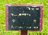  ( - Ringve86)  @11 [ ] CreativeCommons - Attribution Non-Commercial Share-Alike (2012) NTNU Museum of Natural History and Archaeology NTNU Museum of Natural History and Archaeology