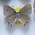  ( - NPML_lyc476)  @11 [ ] Copyright (c) (2025) Maeva Leroy Unspecified