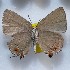  ( - NPML_lyc477)  @11 [ ] Copyright (c) (2025) Maeva Leroy Unspecified