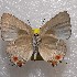  ( - NPML_lyc490)  @11 [ ] Copyright (c) (2025) Maeva Leroy Unspecified