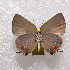  ( - NPML_lyc496)  @11 [ ] Copyright (c) (2025) Maeva Leroy Unspecified