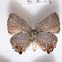  ( - NPML_lyc538)  @11 [ ] Copyright (c) (2025) Maeva Leroy Unspecified