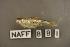 ( - NAFF 881)  @12 [ ] Unspecified (default): All Rights Reserved  Unspecified Unspecified