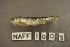  ( - NAFF 1003)  @13 [ ] Unspecified (default): All Rights Reserved  Unspecified Unspecified