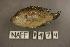  ( - NAFF 1474)  @12 [ ] Unspecified (default): All Rights Reserved  Unspecified Unspecified