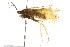  ( - 10RMCAD-014)  @11 [ ] CreativeCommons - Attribution (2010) CBG Photography Group Centre for Biodiversity Genomics