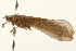  ( - 08RMCAD-0287)  @13 [ ] CreativeCommons - Attribution (2010) Unspecified Centre for Biodiversity Genomics
