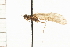  ( - 08RMCAD-0018)  @11 [ ] CreativeCommons - Attribution (2008) Unspecified Centre for Biodiversity Genomics