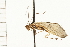  ( - 08RMCAD-0020)  @13 [ ] CreativeCommons - Attribution (2008) Unspecified Centre for Biodiversity Genomics