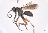  ( - RN1046)  @11 [ ] CreativeCommons - Attribution Share-Alike (2025) Unspecified ETH Zurich, Entomological Collection