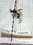  ( - RN1202)  @11 [ ] Unspecified (default): All Rights Reserved (2025) Rainer Neumeyer Unspecified