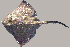  ( - RNEZ164)  @13 [ ] CreativeCommons - Attribution (2010) Arve Lynghammar Unspecified