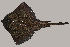  ( - RNEZ212)  @14 [ ] CreativeCommons - Attribution (2010) Arve Lynghammar Unspecified