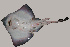  ( - RNEZ212)  @14 [ ] CreativeCommons - Attribution (2010) Arve Lynghammar Unspecified