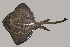  ( - RNEZ213)  @13 [ ] CreativeCommons - Attribution (2010) Arve Lynghammar Unspecified