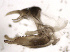  ( - RV-06-V671)  @12 [ ] Copyright (2010) Unspecified Institute of Evolutionary Biology