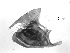  ( - RV-08-A003)  @12 [ ] Copyright (2010) Unspecified Institute of Evolutionary Biology
