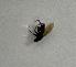  ( - DIBRXX-ROBNGL-VL-40)  @11 [ ] Creative Commons-Attribution Non Commercial-Share Alike (2021) Lujza Keresztes Unspecified