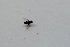  ( - DIBRXX-ROCJDP-PP-05)  @11 [ ] Creative Commons-Attribution Non Commercial-Share Alike (2021) Lujza Keresztes Unspecified