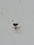  ( - DIBRXX-ROCJSB-BU-07)  @11 [ ] Creative Commons-Attribution Non Commercial-Share Alike (2021) Lujza Keresztes Unspecified
