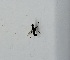  ( - DIBRXX-ROCJSB-BU-11)  @11 [ ] Creative Commons-Attribution Non Commercial-Share Alike (2021) Lujza Keresztes Unspecified