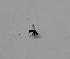  ( - DIBRXX-ROCJSB-BU-13)  @11 [ ] Creative Commons-Attribution Non Commercial-Share Alike (2021) Lujza Keresztes Unspecified