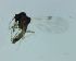  ( - DICECU-Sjcap-01)  @11 [ ] Creative Commons-Attribution Non Commercial-Share Alike (2022) Lujza Keresztes Unspecified