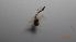  ( - DICH_FI1a_01)  @11 [ ] Creative Commons-Attribution Non Commercial-Share Alike (2022) Lujza Keresztes Unspecified
