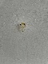  ( - DIEM-ROCJFI-MR-05)  @11 [ ] Creative Commons-Attribution Non Commercial-Share Alike (2021) Lujza Keresztes Unspecified