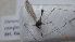  ( - DILIDC_SC2a_01)  @11 [ ] Creative Commons-Attribution Non Commercial-Share Alike (2022) Lujza Keresztes Unspecified